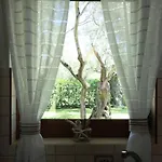 Olivastro Appartement