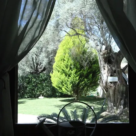 Apartmán Olivastro Lefkáda