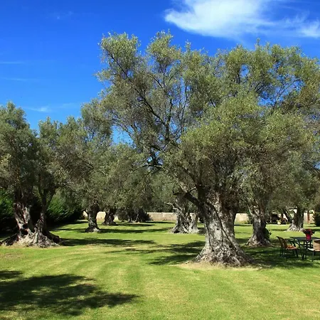 아파트 Olivastro Lefkáda