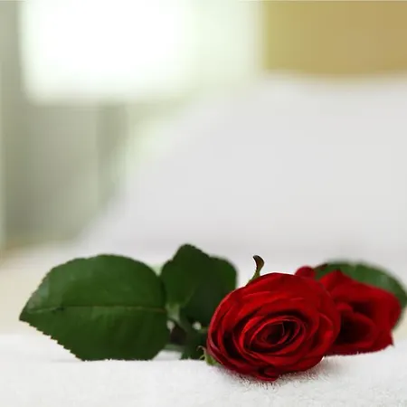 Olivastro Apartment *