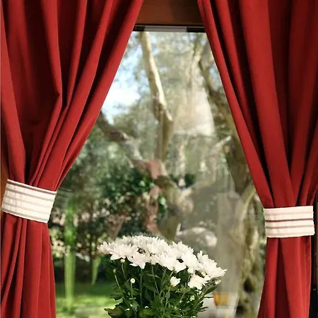 Olivastro Apartament *