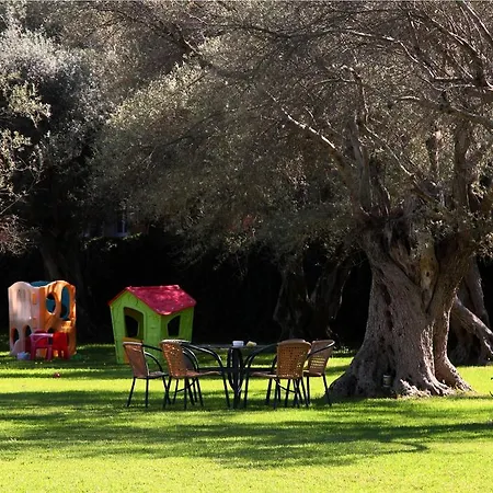 Olivastro Apartment *