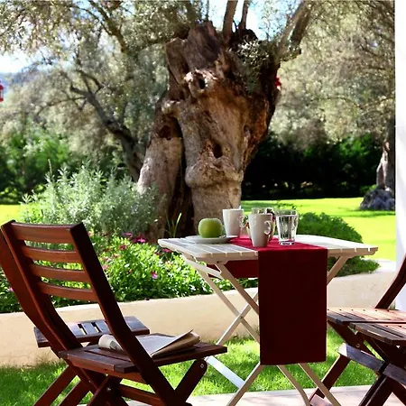 Olivastro Lefkada City