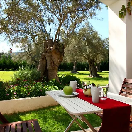 Apartment Olivastro *