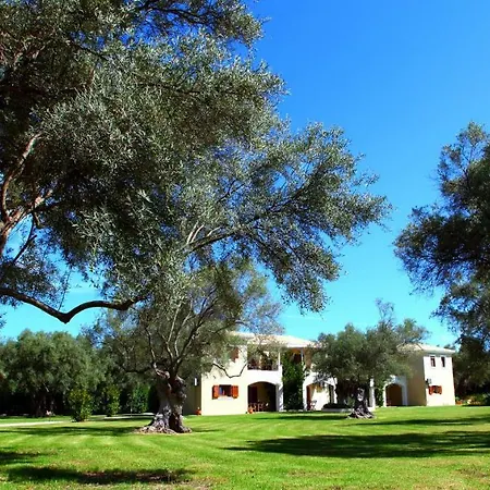 Olivastro