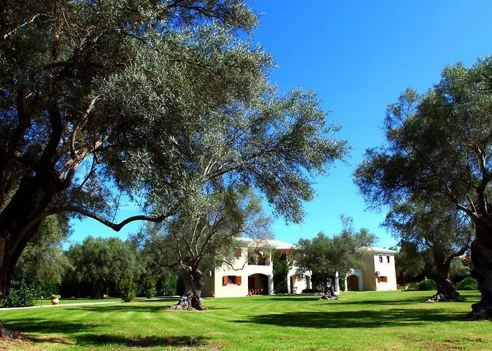 Olivastro